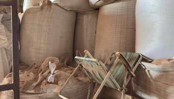 Balanço anual totaliza 850 toneladas de sementes suspeitas apreendidas