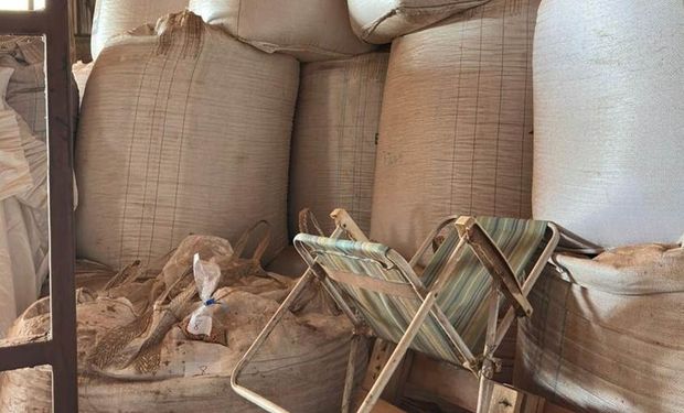 Balanço anual totaliza 850 toneladas de sementes suspeitas apreendidas