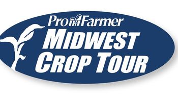 Pro Farmer Crop Tour recortó rindes y producción de soja y maíz