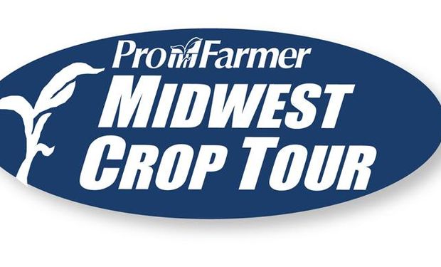 Pro Farmer Crop Tour recortó rindes y producción de soja y maíz