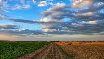 Crowdfunding para produtor rural e cooperativa pode sair ainda em 2025