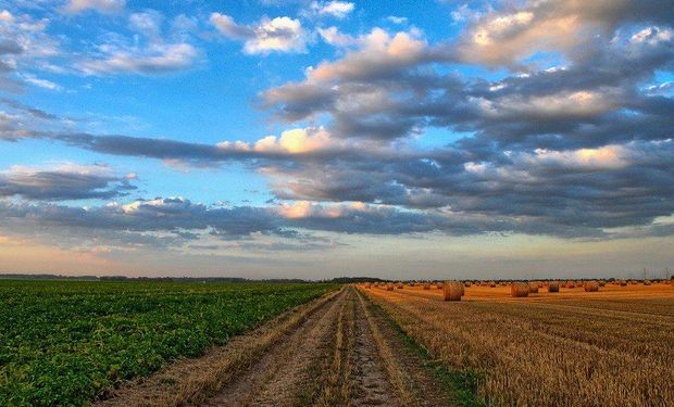 Crowdfunding para produtor rural e cooperativa pode sair ainda em 2025