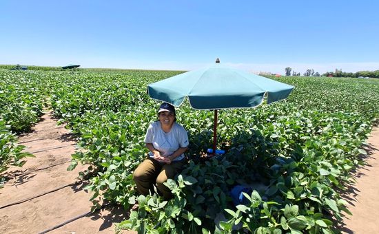 Stine abrió las puertas del campo de mejoramiento y mostró todo el proceso detrás de las variedades que rinden cada vez más