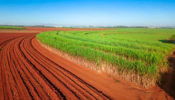 Setor de cana pode cumprir sozinho a missão da redução de emissões de CO2 do agro brasileiro