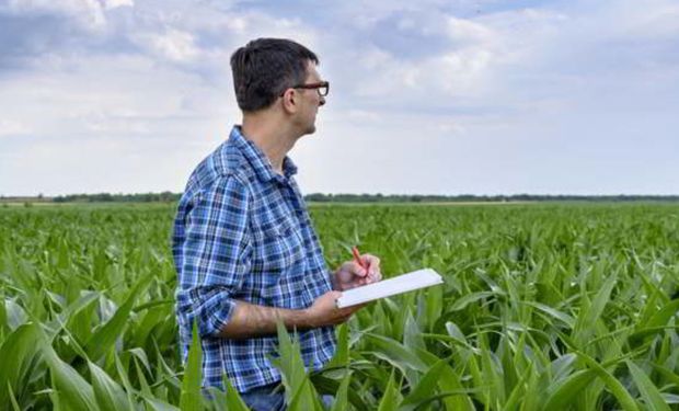 Los impuestos nacionales no coparticipables explican el 55,7% del total de impuestos que afronta una hectárea agrícola en Argentina.