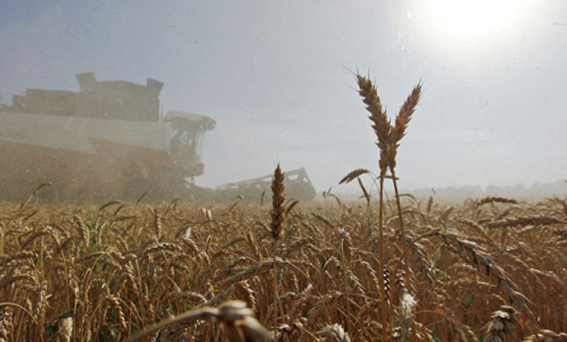 Rusia donó 20.000 toneladas de trigo a Cuba, un histórico aliado económico y militar