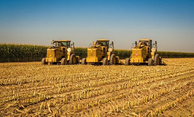 Até o momento, produtividade do milho segunda safra é 66,9% maior na comparação com a anterior. (Foto: Getty Images).
