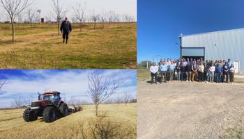 El cultivo que atrae cada vez a más productores y ya hay más de 600 hectáreas en una provincia clave: "Es una opción muy interesante"