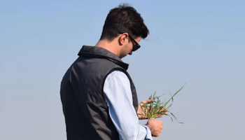 En Córdoba hay un solo cultivo que deja números positivos: el cambio drástico que incentivaría la siembra