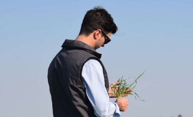 En Córdoba hay un solo cultivo que deja números positivos: el cambio drástico que incentivaría la siembra