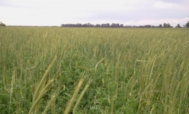 El XXV Congreso Aapresid, una parada obligada para ponerse al día para salir a la cancha con las últimas y mejores herramientas para potenciar la agricultura sustentable.