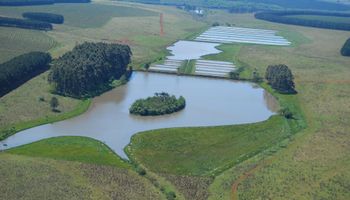 Nació como hobby y ahora no logran cubrir la demanda: la historia de una empresa agropecuaria que diversificó su actividad y planea exportar a Europa y Estados Unidos un nuevo "cultivo"