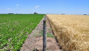 Solo en Argentina ya fueron tratadas con bioinsumos 17,4 millones de hectáreas y el mercado ya es de más de US$ 118 millones: la misión que busca llevar la tecnología argentina a Europa
