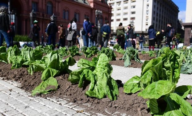 Relevamiento: cuánto cuesta alquilar un lote para producir en el conurbano bonaerense