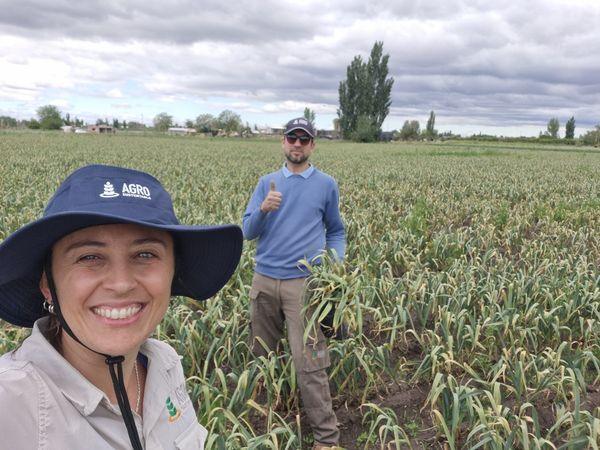 cultivos organicos