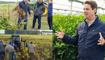 De la oficina al campo, apostó a una producción que ya cubre más de 15.000 hectáreas en Argentina: “Tenemos condiciones para pensar en grande”