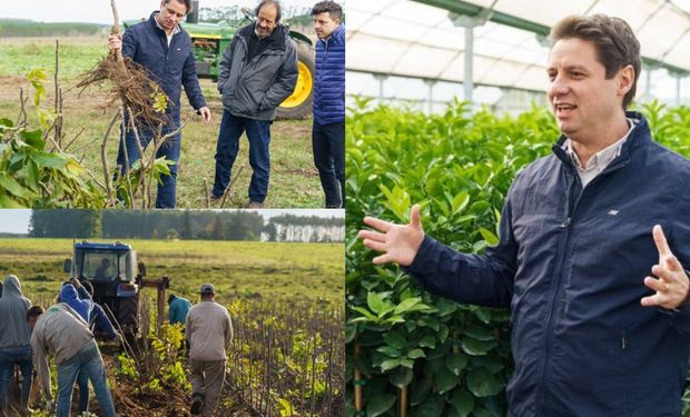 De la oficina al campo, apostó a una producción que ya cubre más de 15.000 hectáreas en Argentina: “Tenemos condiciones para pensar en grande”
