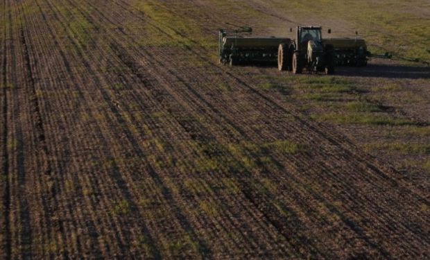 Alternativa ecológica para el control de malezas.