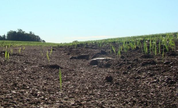 Predecir la erosión para proteger la productividad de los suelos.