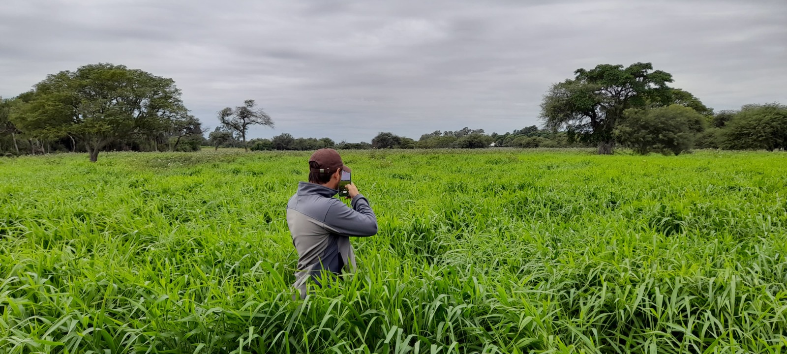 noticiaspuertosantacruz.com.ar - Imagen extraida de: https://news.agrofy.com.ar/noticia/211331/tecnologia-que-revoluciona-uno-cultivos-ano-30-mas-produccion-incial-permite-rapida