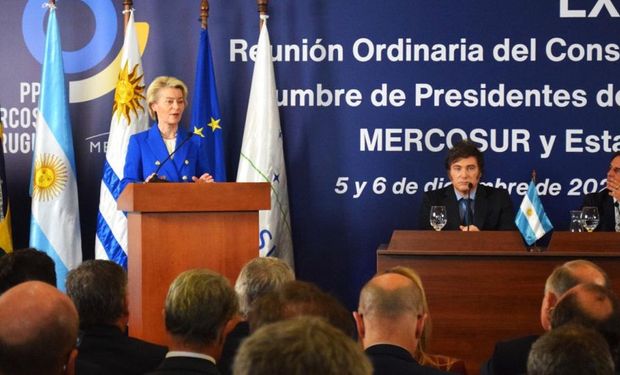 Unión Europea–Mercosur: oportunidades y desafíos para el agro argentino