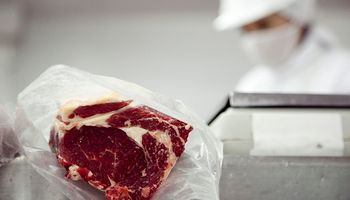 Argentina exportó 29.389 toneladas de carne a Europa y cumplió con el 100% de la Cuota Hilton