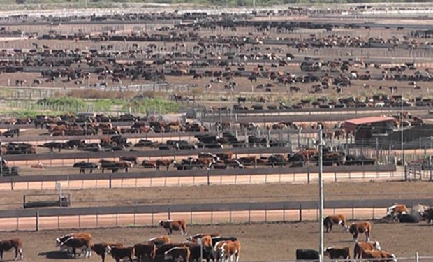 Unidad de engorde intensivo de Marfrig en Río Negro, Uruguay.