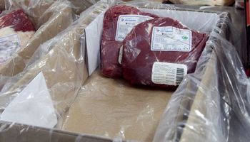 Agroindustria asignó la cuota Hilton 2019/20: cómo quedó la distribución