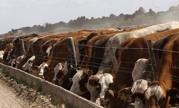 UE aprobó el ingreso de Argentina a la cuota de carne de Feed Lot
