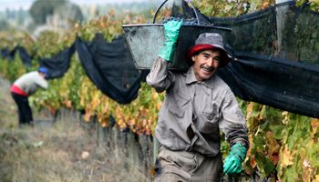 Qué trabajadores rurales recibirán un bono de $65.000