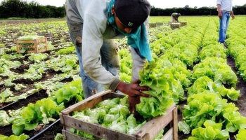 Los pequeños productores agroindustriales contarán con asistencia financiera