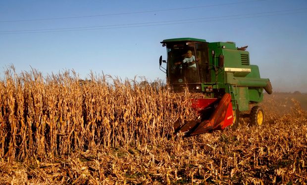 La agroindustria se recupera de la sequía con una cosecha récord, generando un impacto positivo que se ve reflejado diversos sectores.