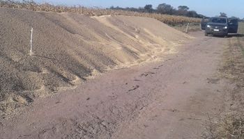 Vandalismo rural: denuncian el ataque a silo bolsas en Córdoba