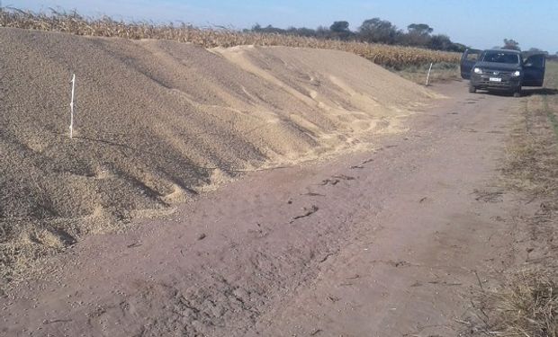 Campo en La Posta.