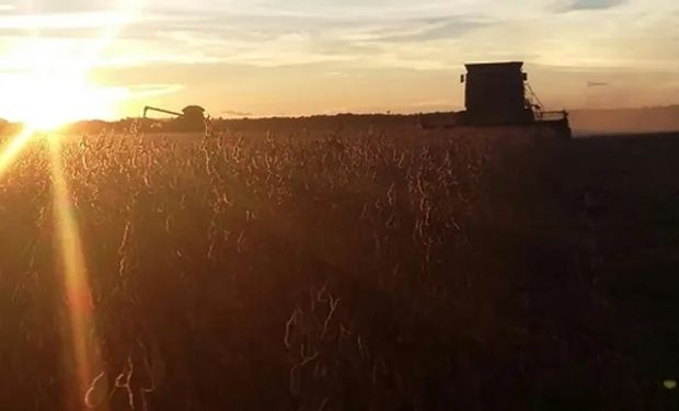 ¿Sin lluvias? Qué dice el pronóstico del agro para los próximos dias 