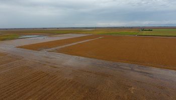 Así están los campos de Córdoba tras las últimas lluvias