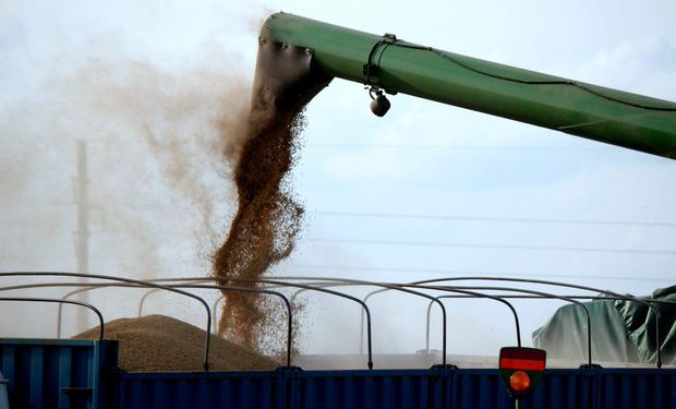 Zona núcleo: solo resta por terminar un 5% de soja de primera, 25% de segunda y 15% de maíz temprano.