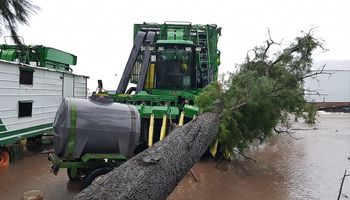 Lluvias causan estragos sobre el NEA: cuántas hectáreas se encuentran en riesgo