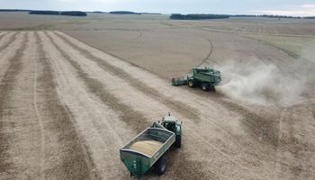 Cosecha a pleno: el clima permitirá un fuerte avance en las labores