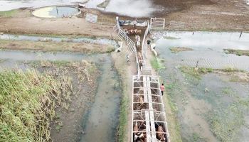 Protesta de productores en Chaco por las inundaciones: "Las soluciones no aparecen"