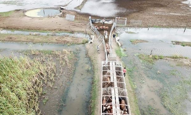 Advierten sobre la gravedad de las inundaciones.