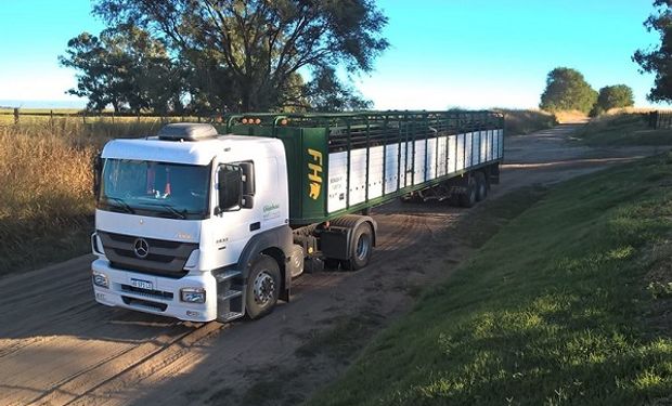 Permiten la desinfección de vehículos para el transporte de animales vivos en lavaderos no habilitados 