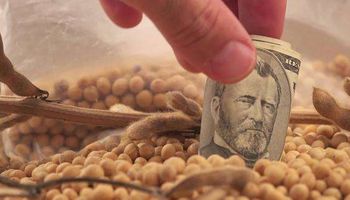 El dólar registró una importante caída de $ 3,51 y no hubo operatoria en Chicago