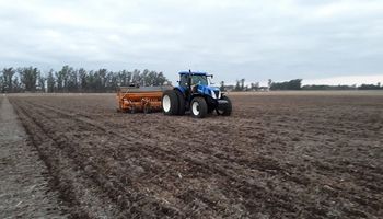 Finalizó la siembra de trigo en el centro norte de Santa Fe y la superficie implantada cayó un 7,8 %