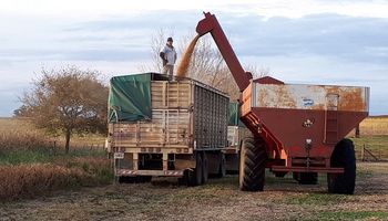 Córdoba utilizará el inmobiliario rural para “sacar la producción a los puertos”
