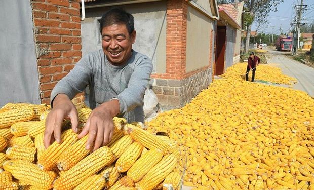 Un dato que tiene a China como protagonista genera una fuerte suba para el precio del maíz y la soja