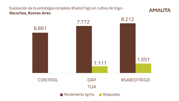 sabio trigo argentina