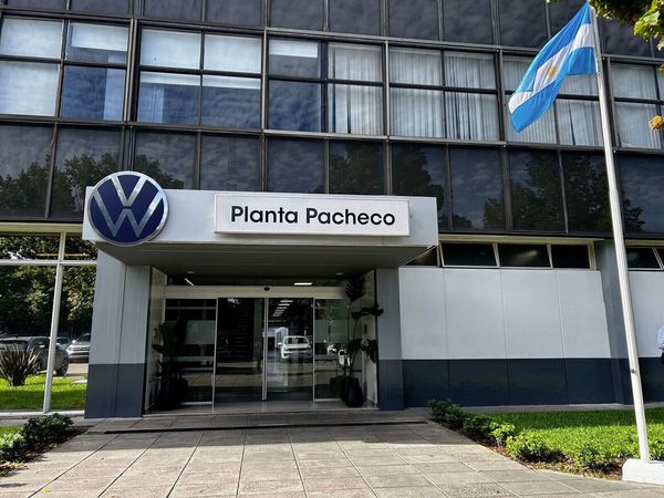 amarok pacheco