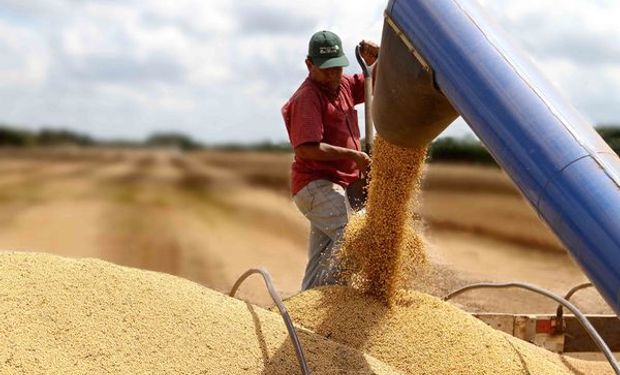 DVA expande su crecimiento en América del Sur: adquirió la unidad de insumos agrícolas de DBI SRL en Bolivia