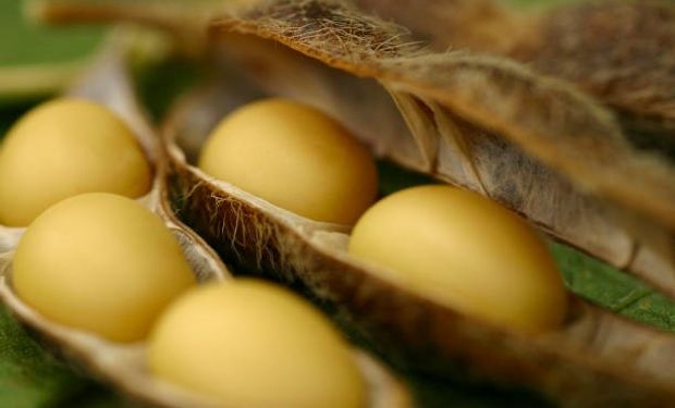 La soja y el trigo recalentaron el mercado local: cuánto se pagó por los granos en Rosario 